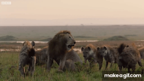 2C37239D 839C 4AA2 833E B25B197759D1