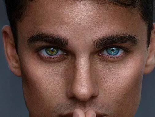 Images   2024 06 17T114631590