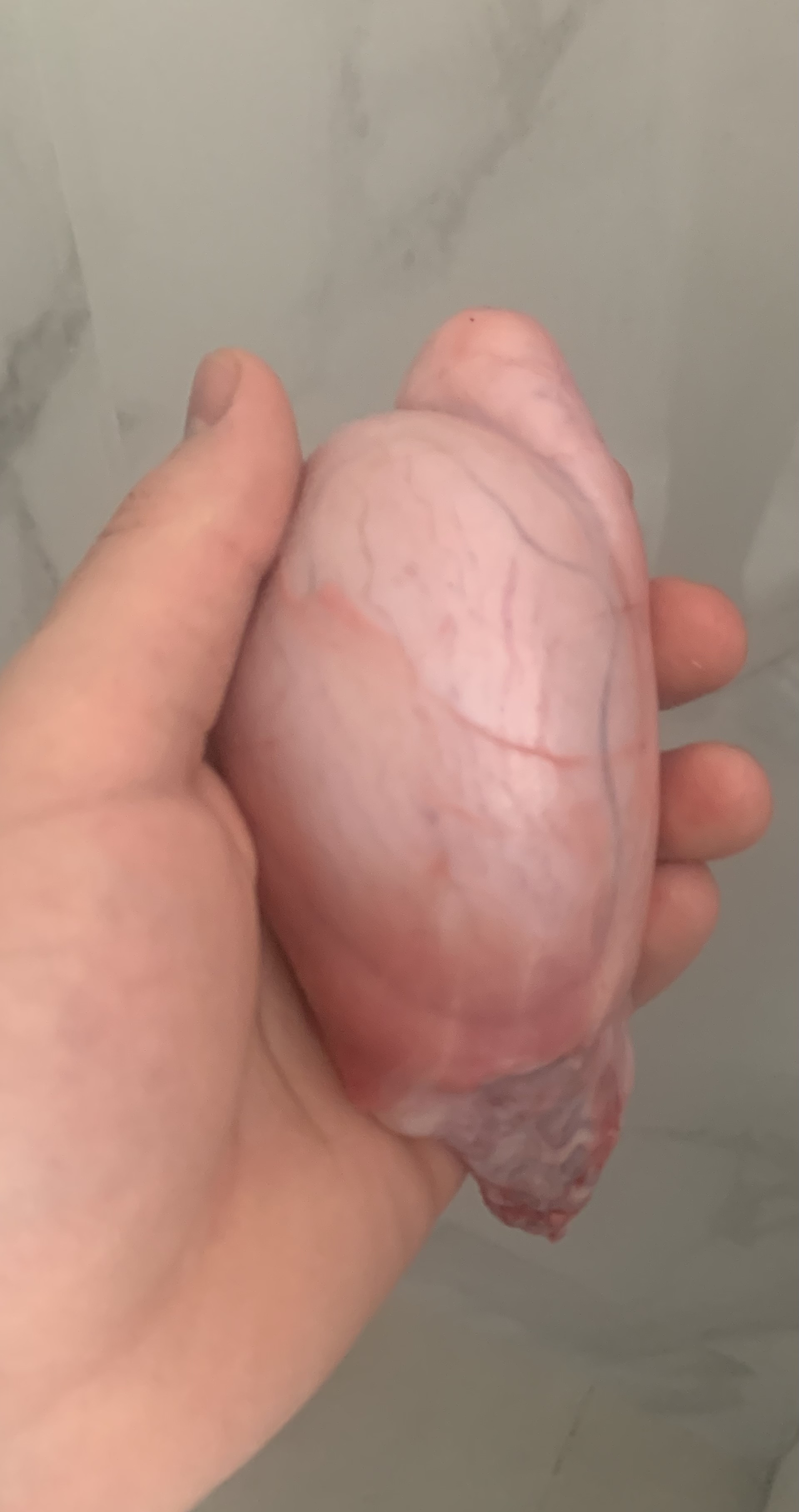 F3EA80A2 C866 41DC B83B 98459688E9C5