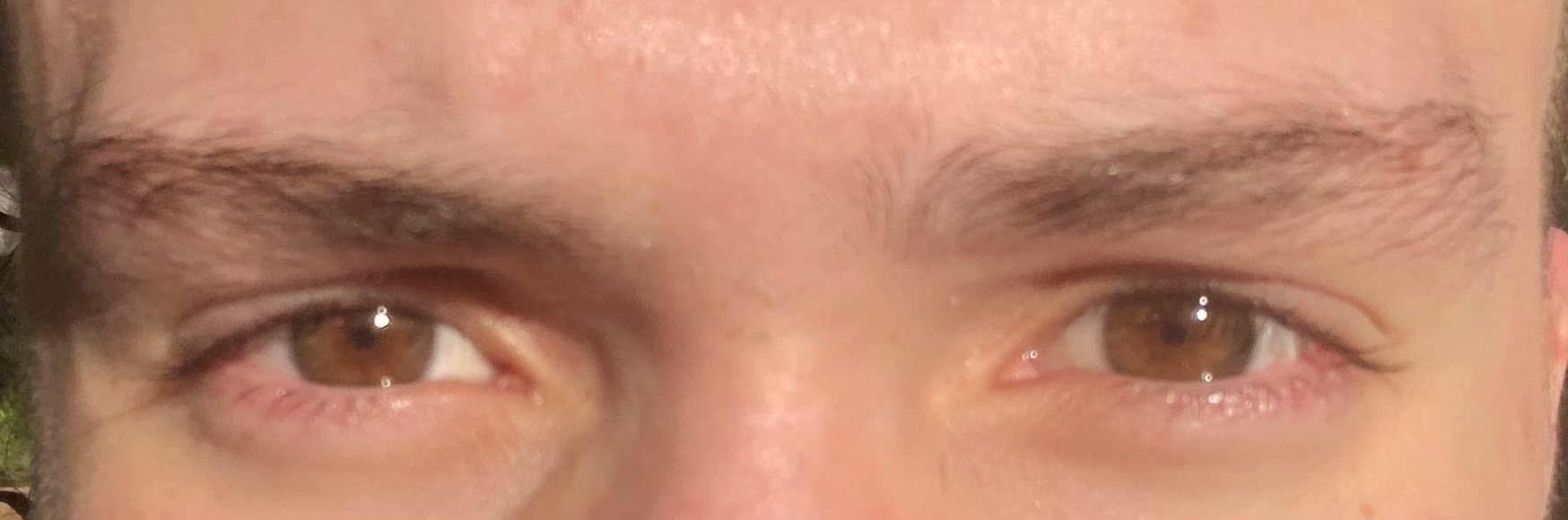 3100584 1664787039753