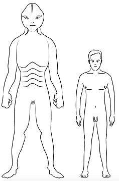 Reptilian Human Comparison