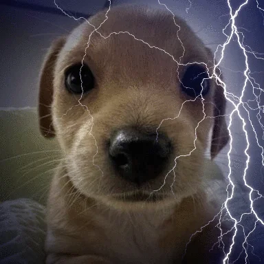 1000000074 1000000074