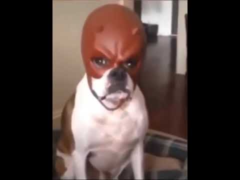 IMG 9030