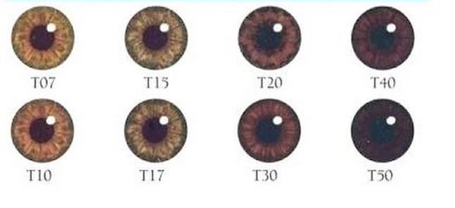 13A15E75 E680 46B3 9DFC 26E054BEAAEE