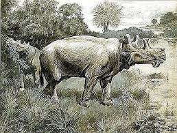 Images   2024 06 21T115550432