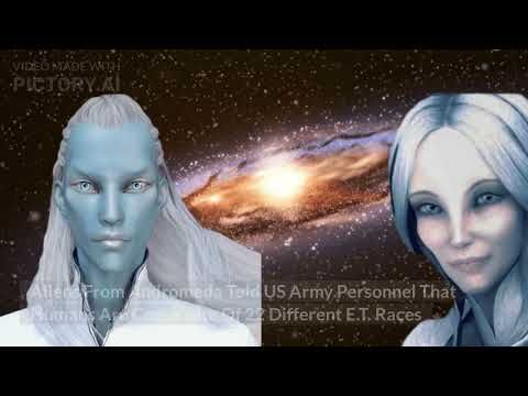 IMG 8146
