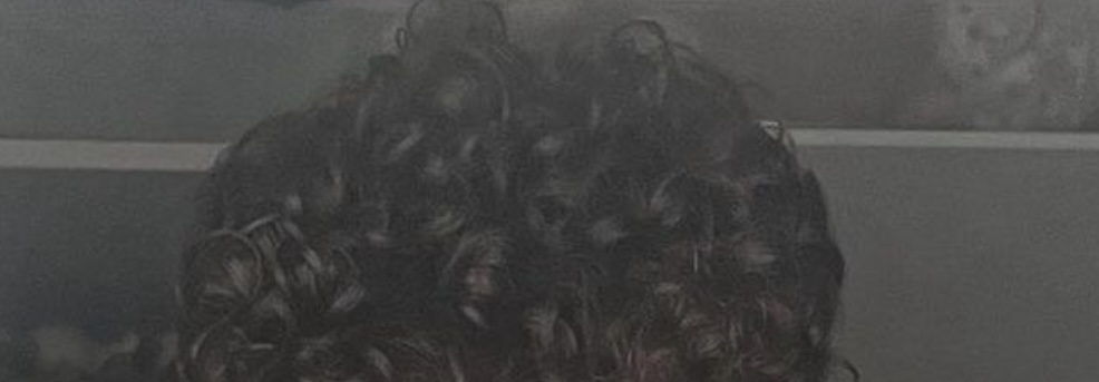1719163758182