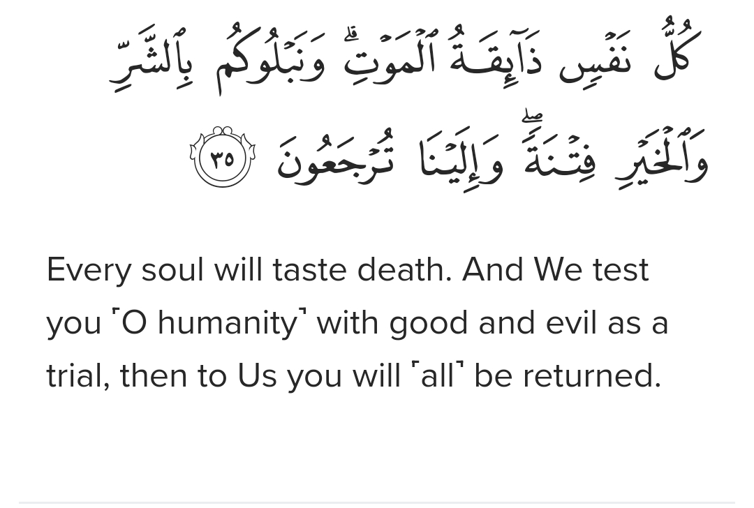 Screenshot 20240624 040529 Samsung Internet