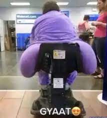 IMG 1895