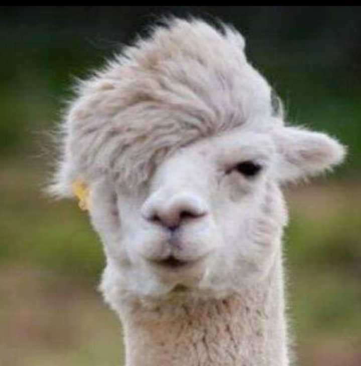 Screenshot 20240626 032852 Gallery