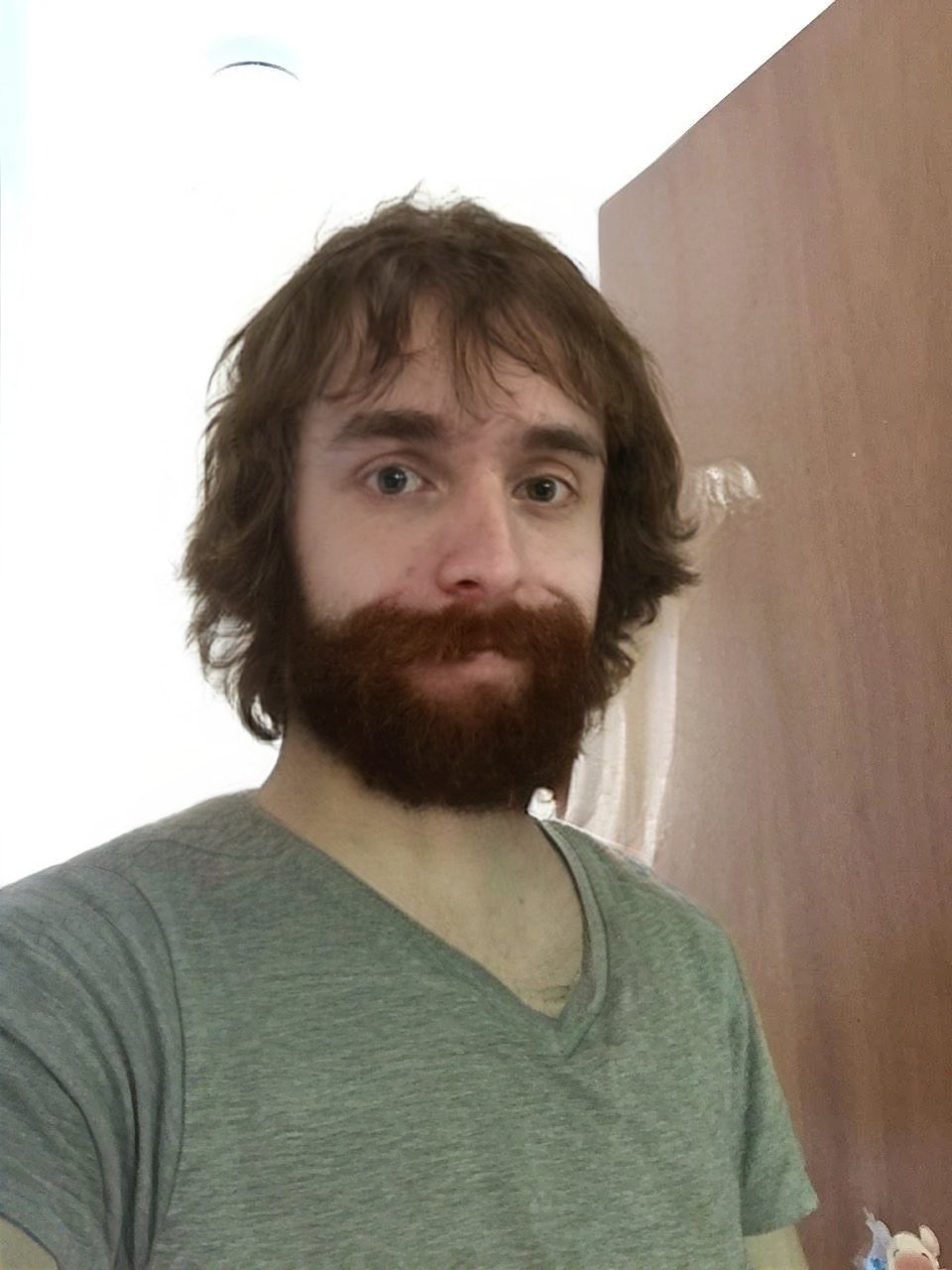 4213686 17194362302752