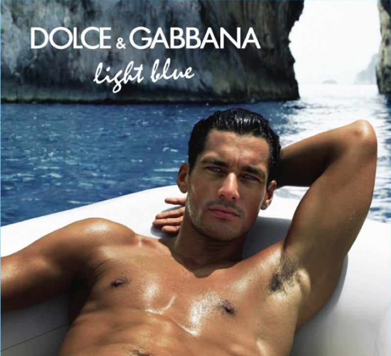 186BDC6B 492C 475D AAA2 DA7104C5B016