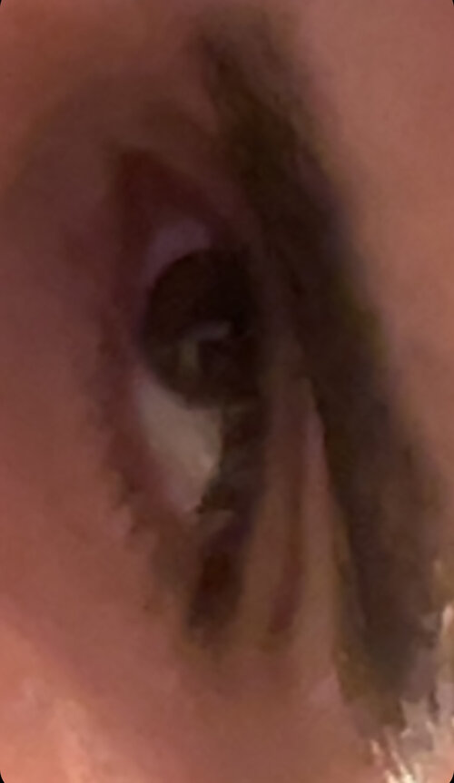 IMG_0462.jpeg