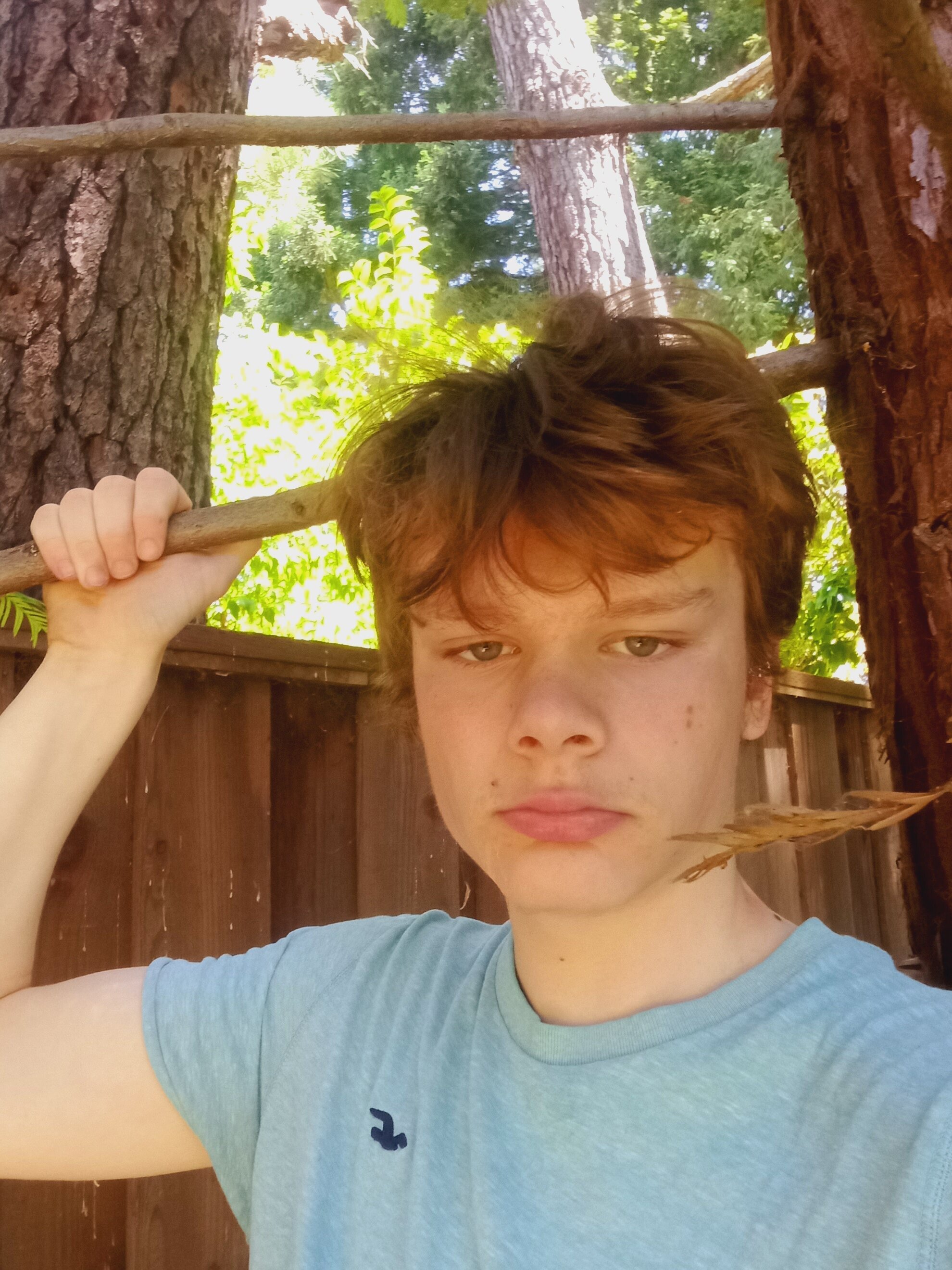 4209230 20240615 120823