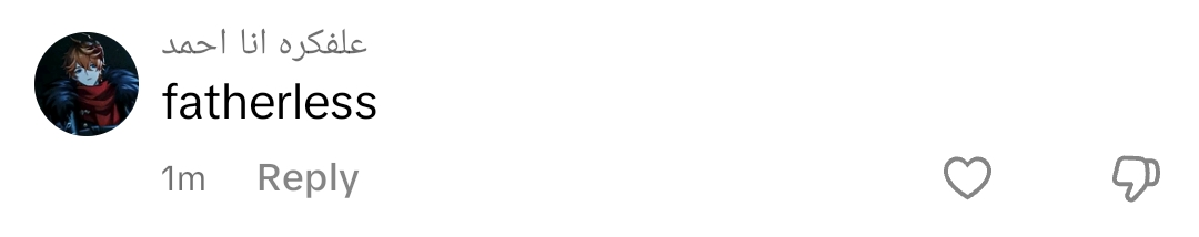 Screenshot 20240702 191744 TikTok
