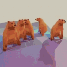 Ursos fritando bear
