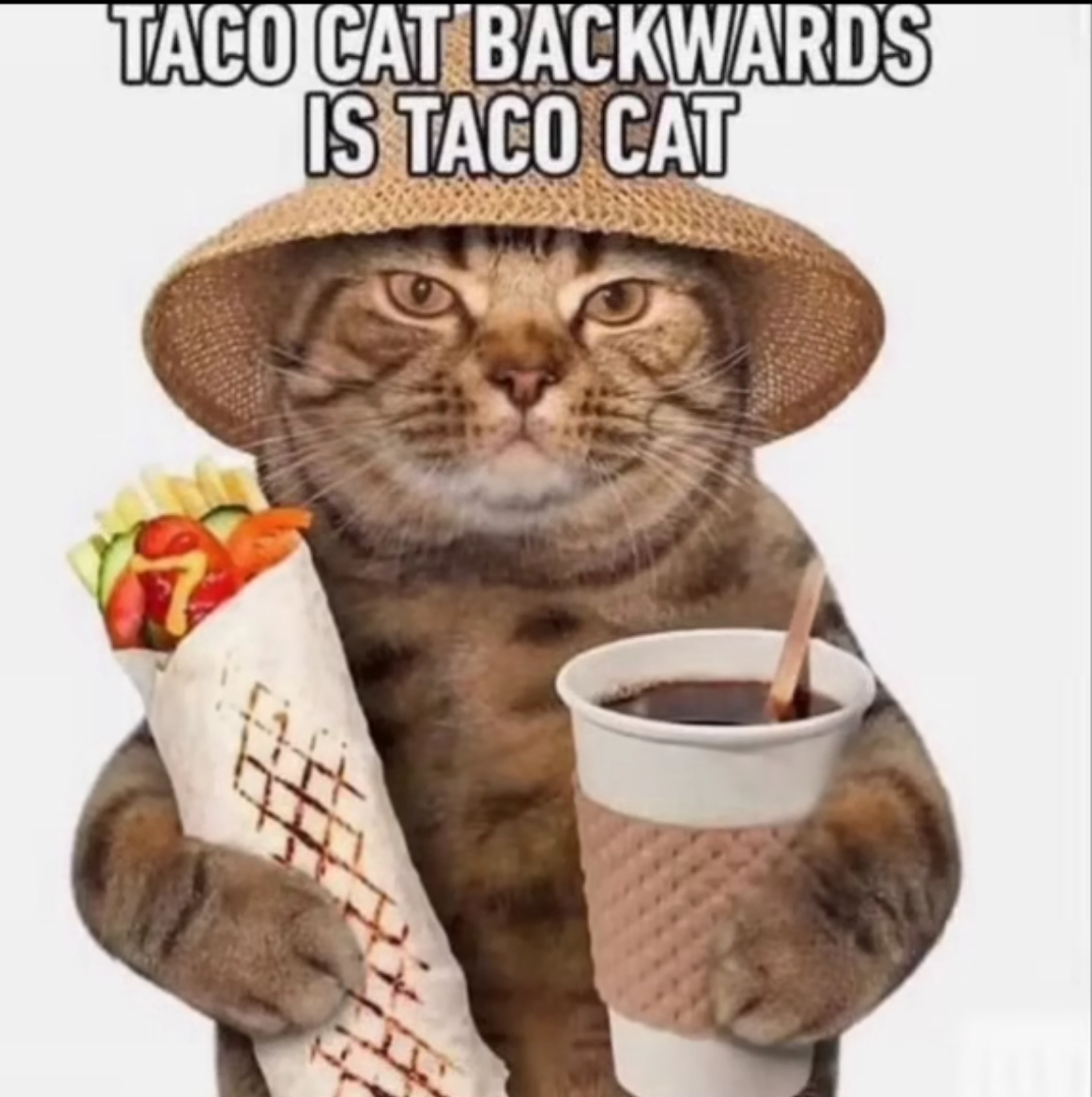 Screenshot 20240705 181708 Instagram