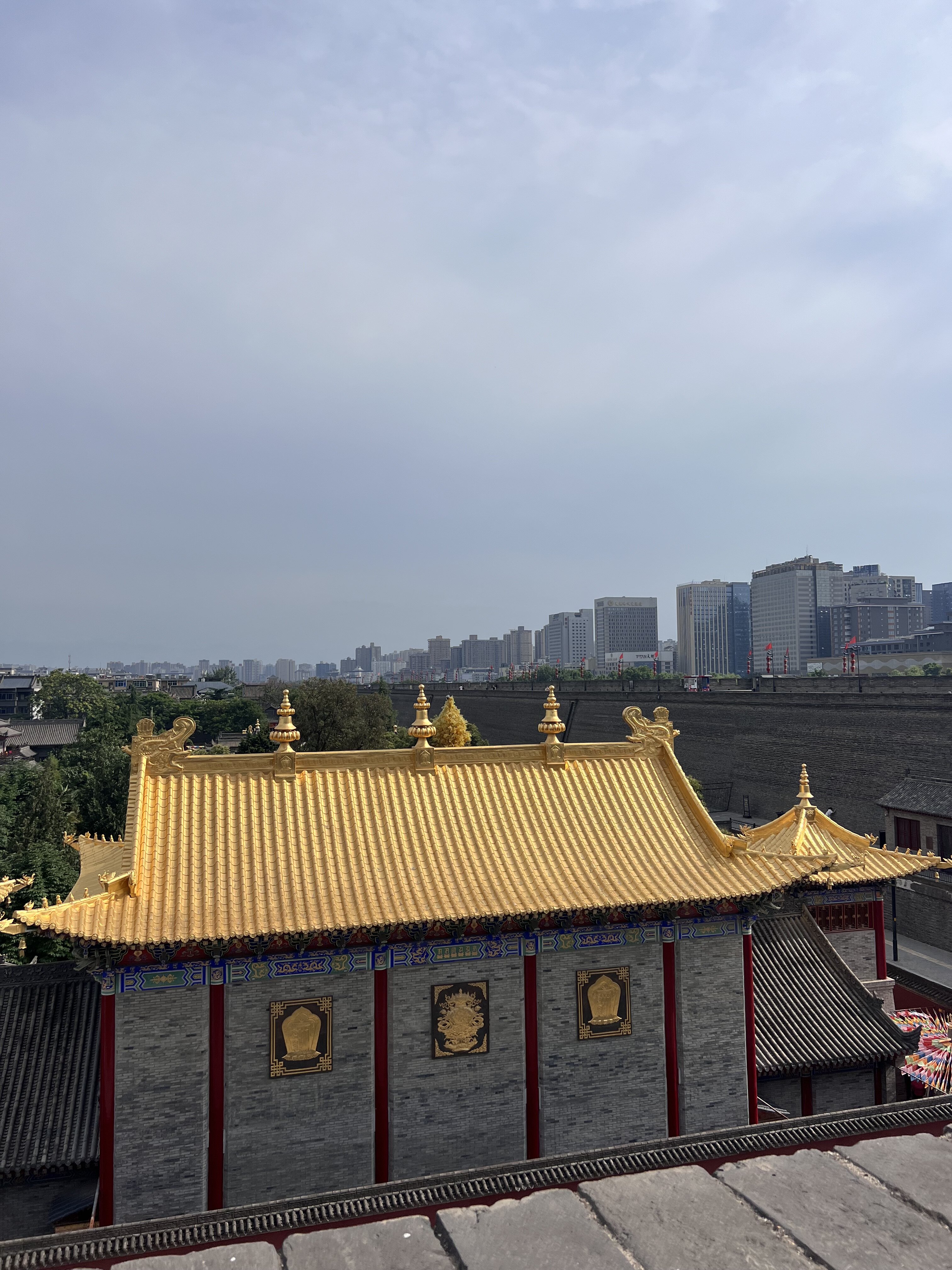 IMG 5800