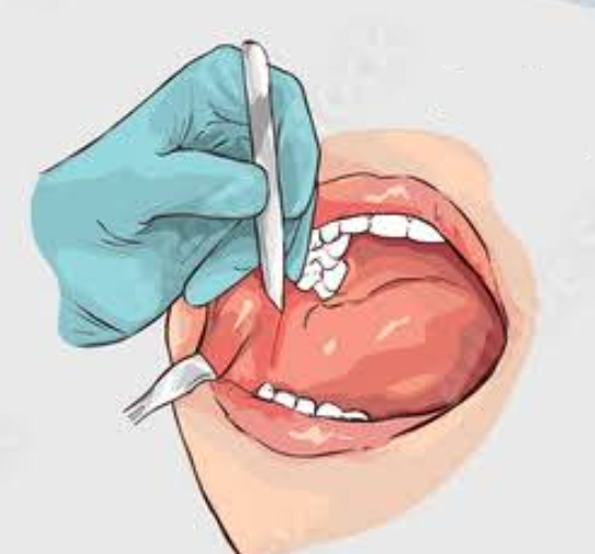 Screenshot 20240705 210632 Google