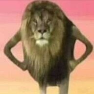 21716