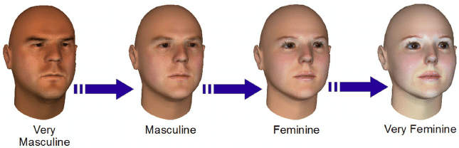 4184006 4096271 Facial gender is considered to be a continuum over masculinity or femininity F