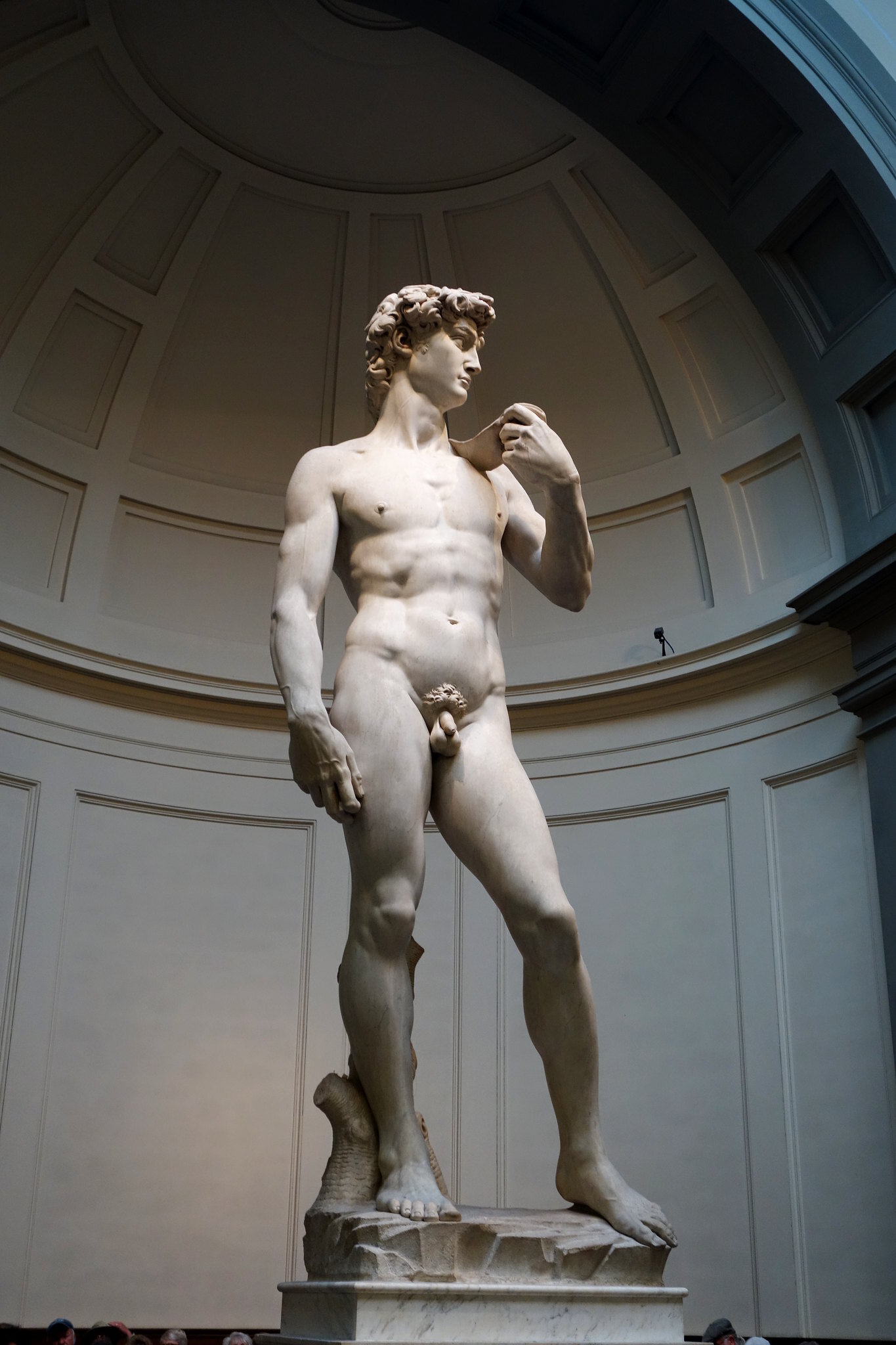 David
