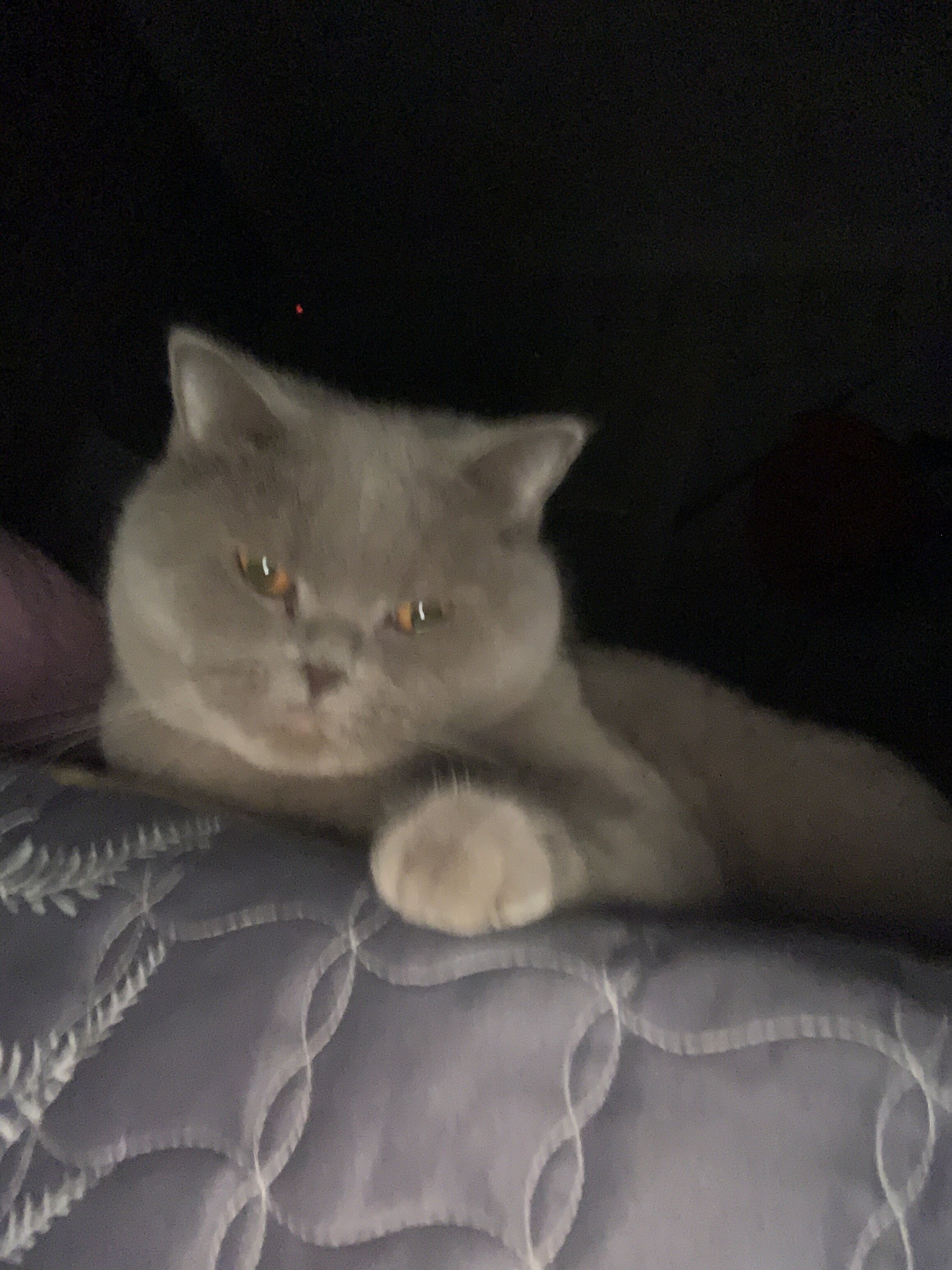 767DE8F9 BCBF 442D A979 0B71B588B180