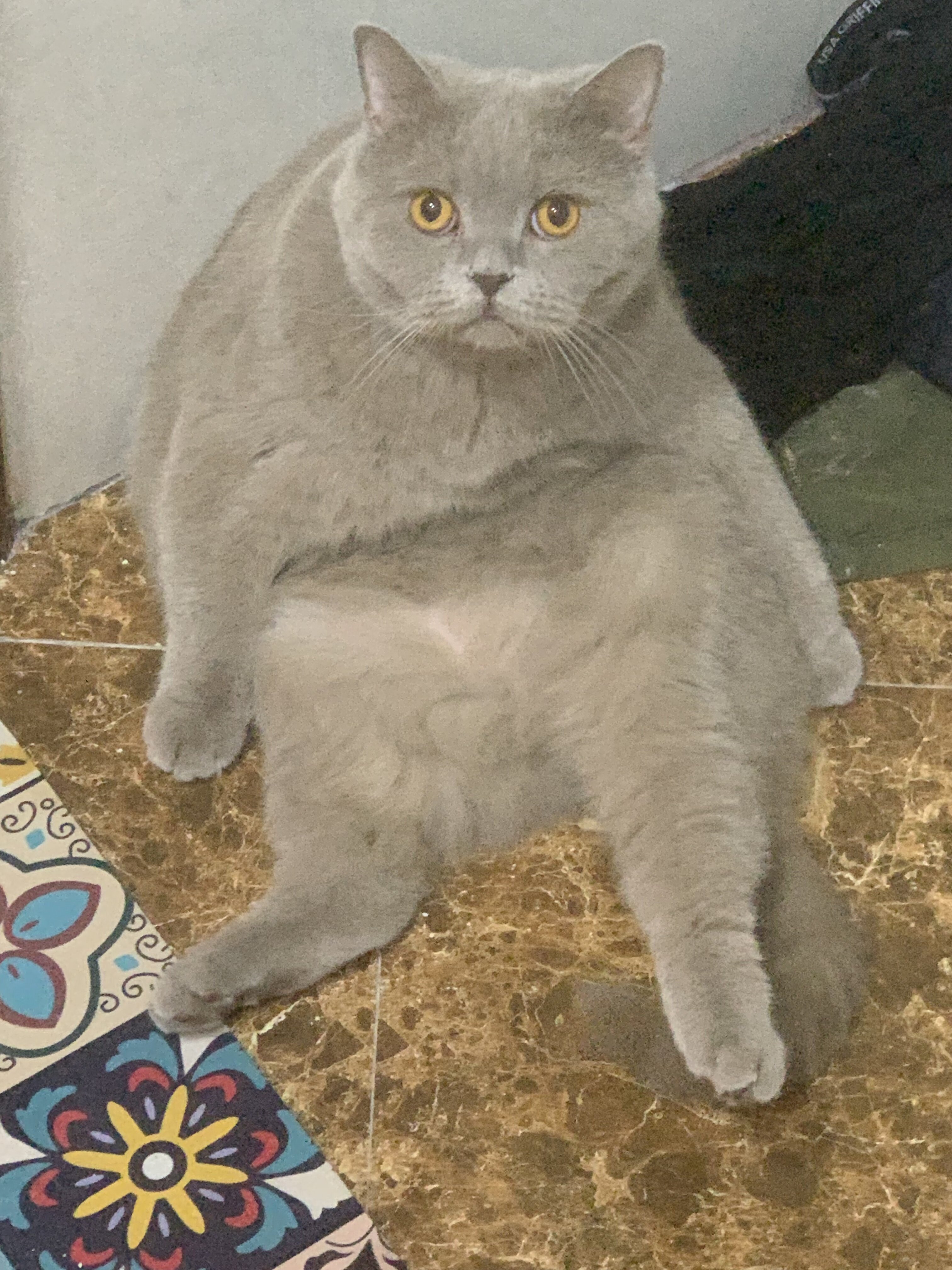 36D41495 9444 4E6A 93AD 69FE0B295CE8