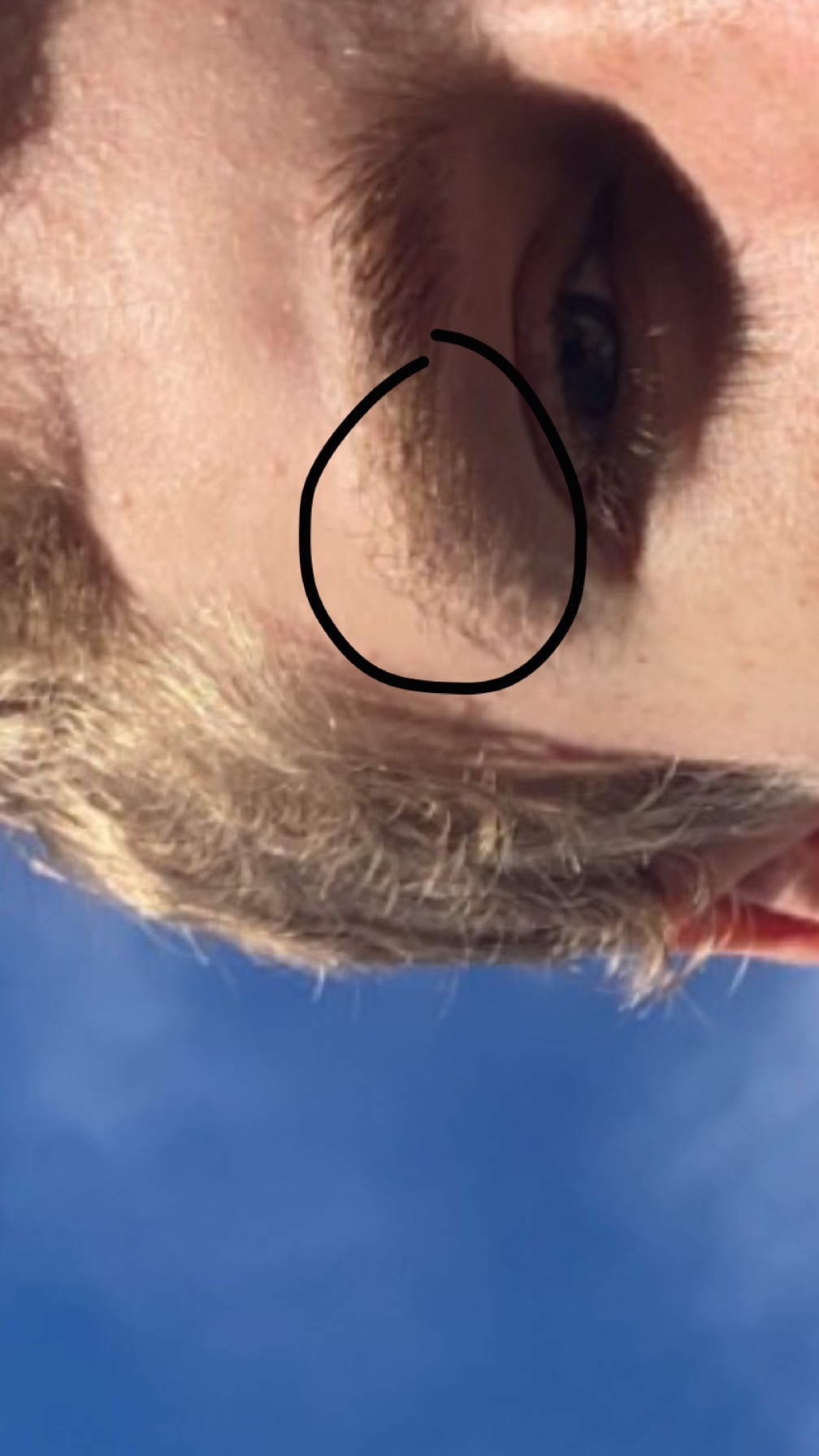 F34C50B7 55C7 4B77 9229 3F03963A61B9