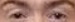 1720460176702