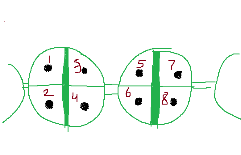 1720470296392 1720470296392