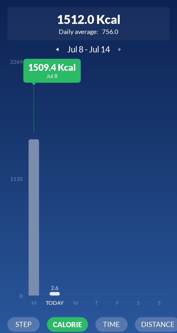 Screenshot 20240709 003858 Pedometer Step Counter