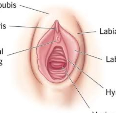 Screenshot 2024 07 10 08 57 28 23