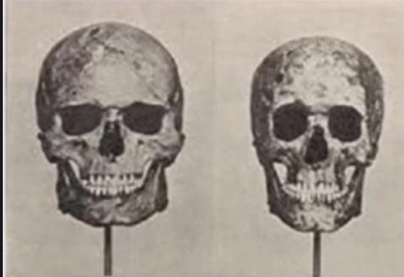 Screenshot 10 7 2024 12941 ifunnyco