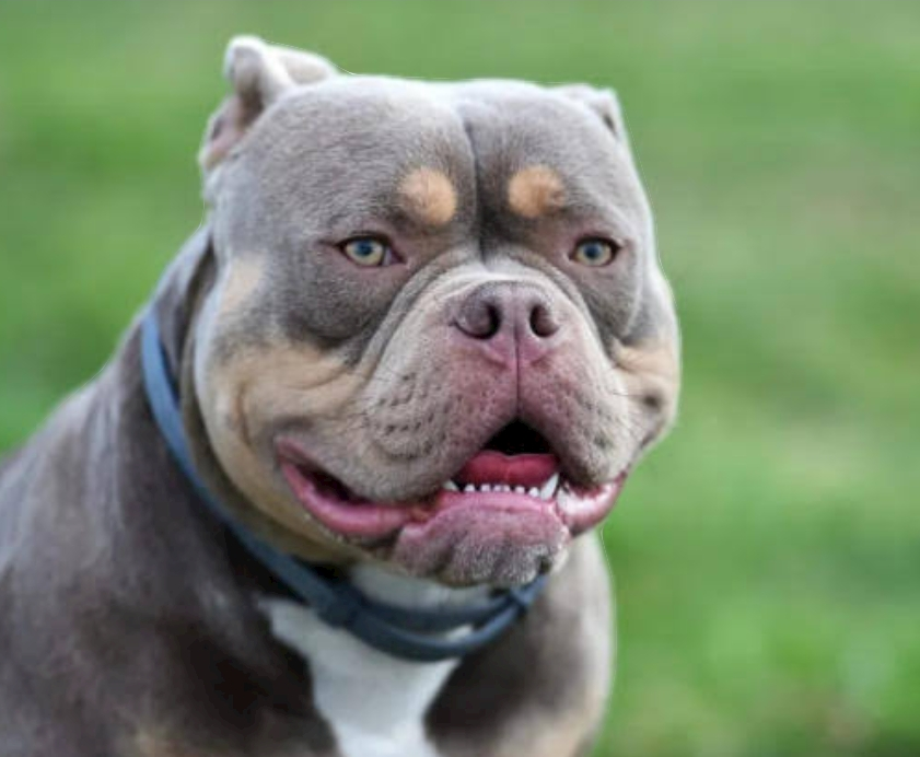 Screenshot 20240711 031922 Google