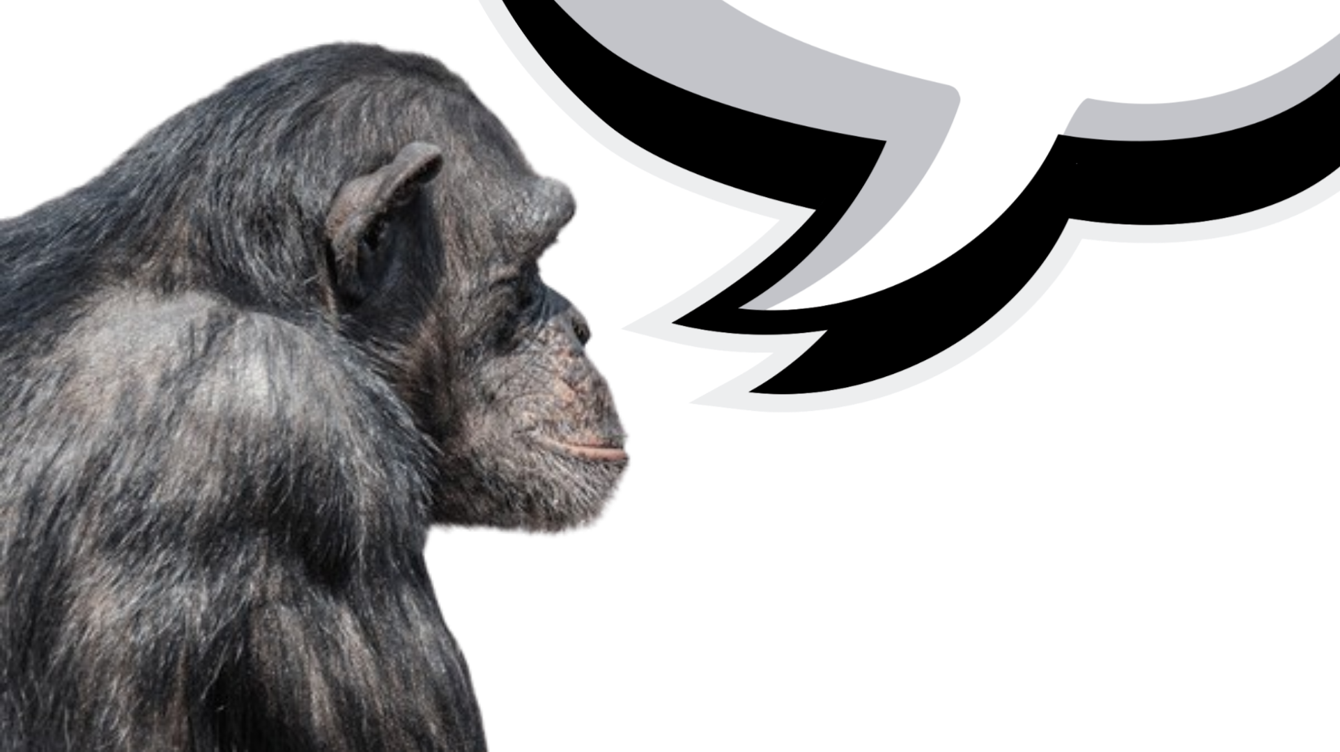 Picsart 24 07 06 23 30 16 392