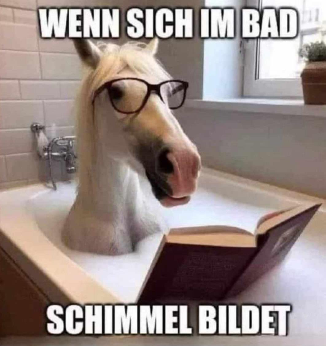 F52BCF66 279C 4B47 BB2A 28C550155D2D