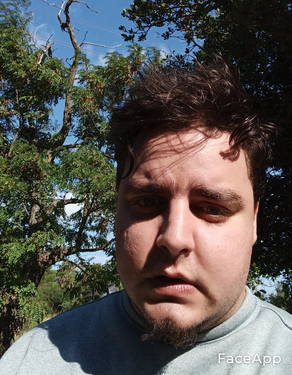 1696863865302 png 1
