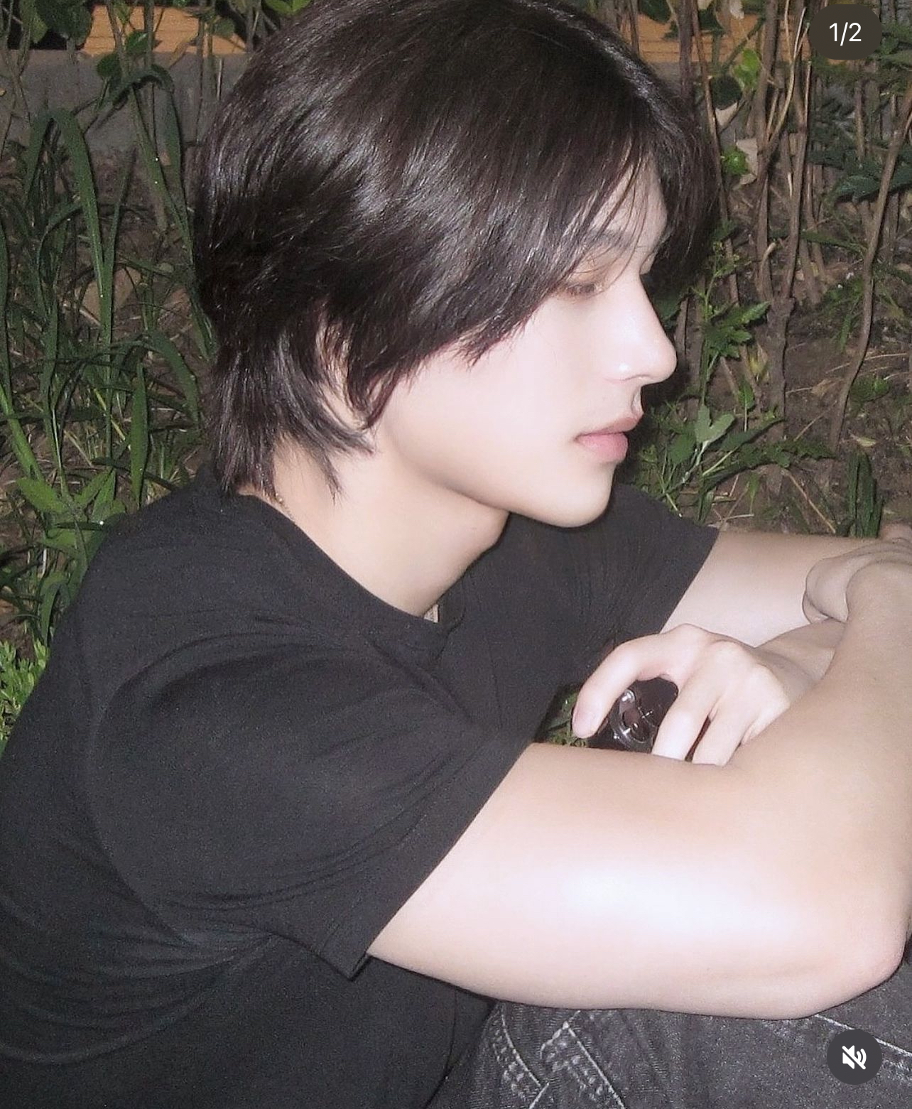 IMG 7862 IMG 7862