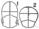 9D0244BB BD67 479F 937B DBE042DE5C73 9D0244BB BD67 479F 937B DBE042DE5C73
