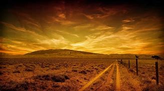 Image result for vast dawn plain
