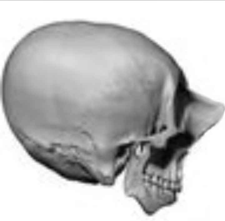 Screenshot 20240703 174859 Peachy