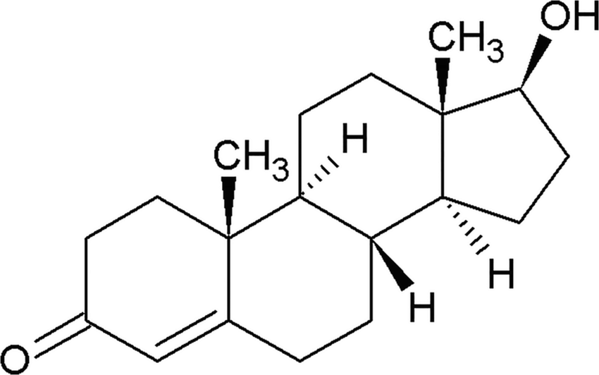 1721536241529 1721536241529