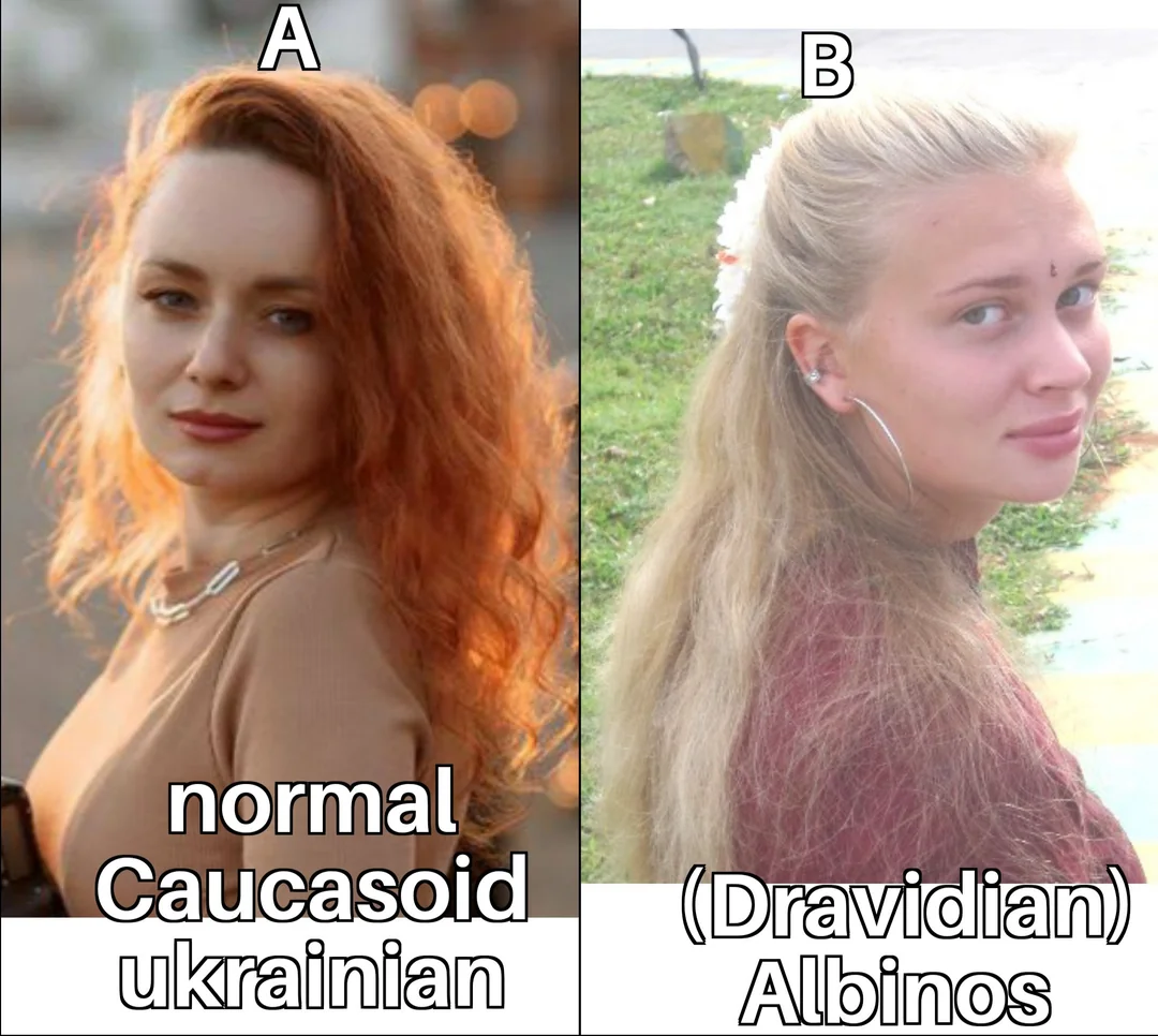 The only difference is in color otherwise an average v0 ype6ejfi86ea1