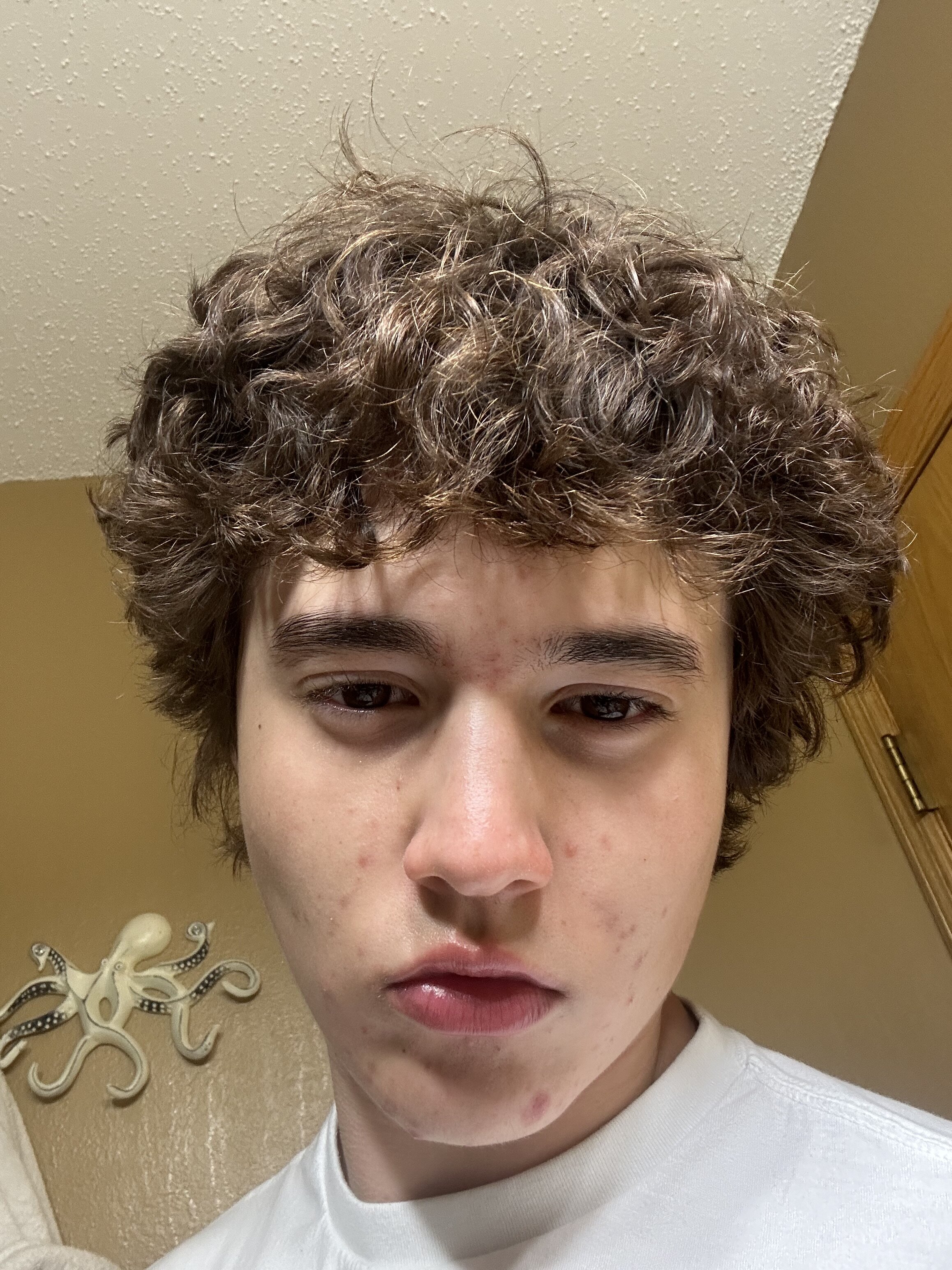 IMG 2793