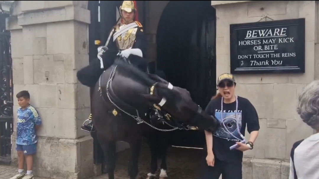 Screenshot 20240723 023935 DuckDuckGo