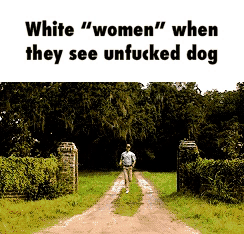 34059B76 1478 4C72 8520 45B2F7FF1DBB