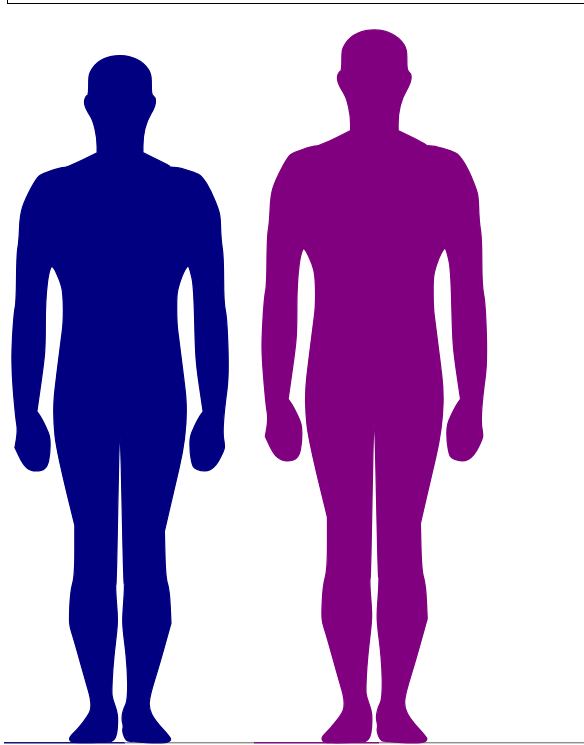 Screenshot 2024 07 23 144728