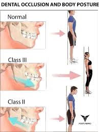 Images 3 3