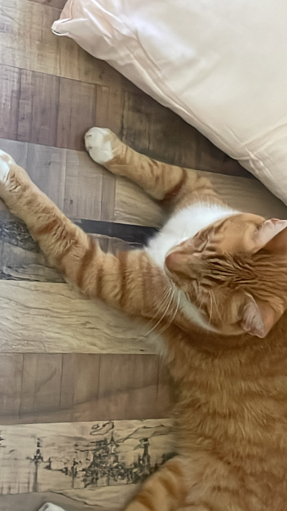 F7DC51C5 9252 4487 A28E 92DD9C0F69B6